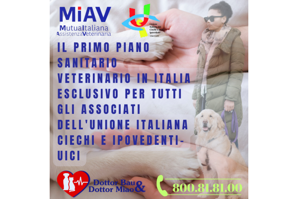 Il primo piano sanitario veterinario in Italia  esclusivo per tutti gli Associati dell'Unione Italiana Ciechi e Ipovedenti-UICI
