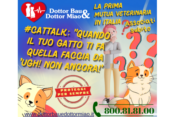**#CatTalk:** 🐾 *Dottor Miao presenta 
