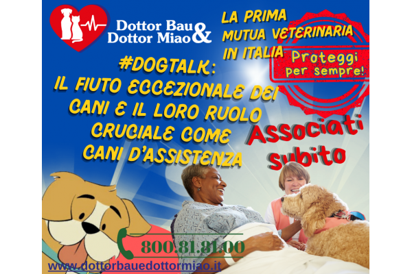 Il Fiuto Eccezionale dei Cani e il Loro Ruolo Cruciale come Cani d'Assistenza