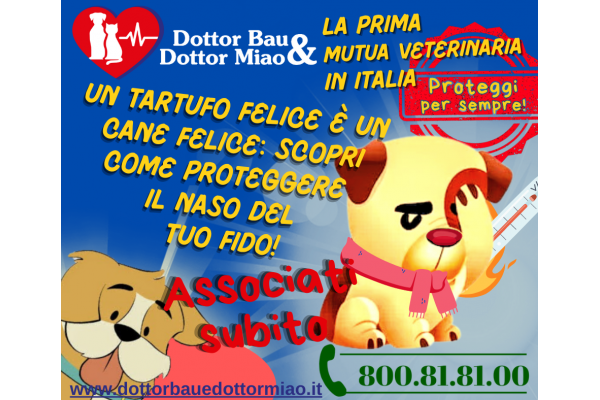 Un Tartufo Felice è un Cane Felice: Scopri Come Proteggere il Naso del tuo Fido!