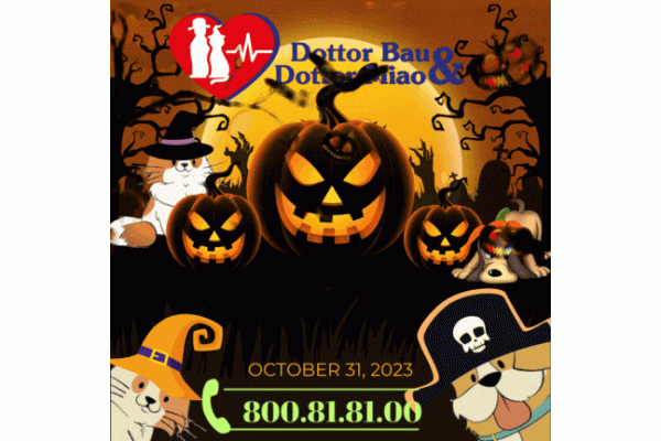 Buon.....Halloweennnn......