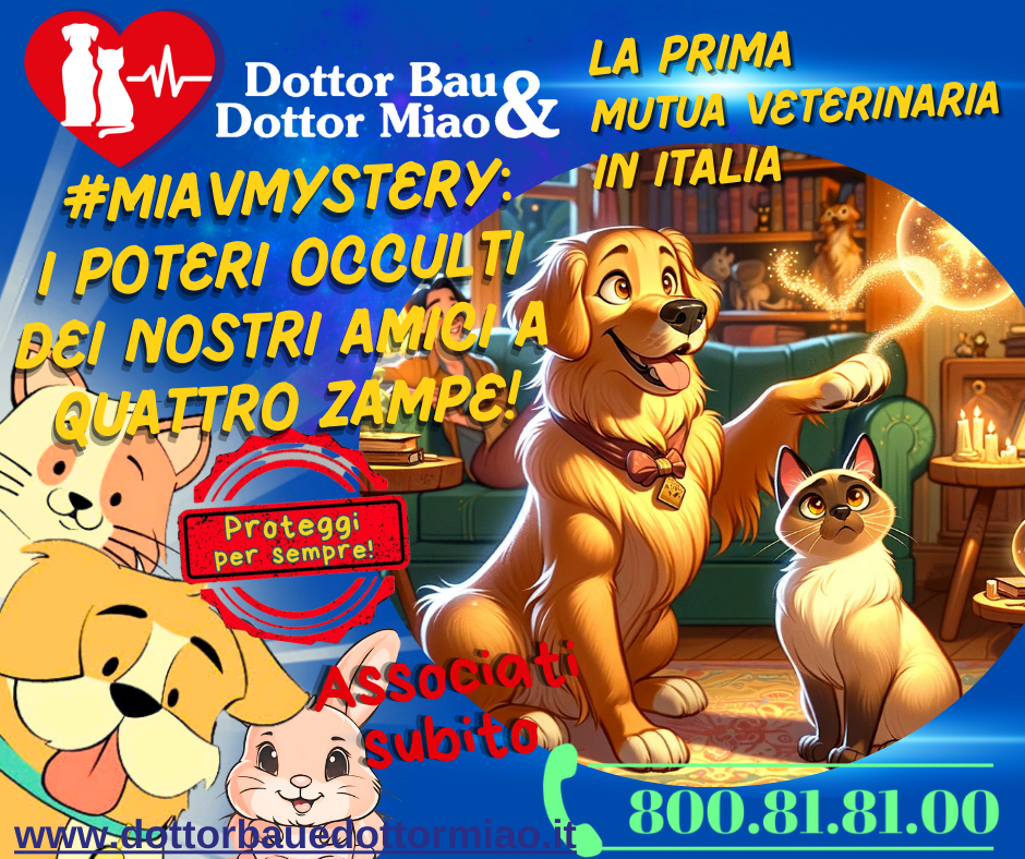 🔮✨ #MiavMystery: I Poteri Occulti dei Nostri Amici a Quattro Zampe! 🐾🧙‍♂️