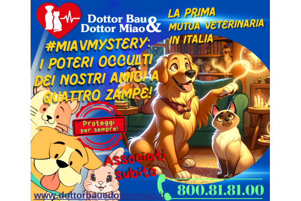 🔮✨ #MiavMystery: I Poteri Occulti dei Nostri Amici a Quattro Zampe! 🐾🧙‍♂️