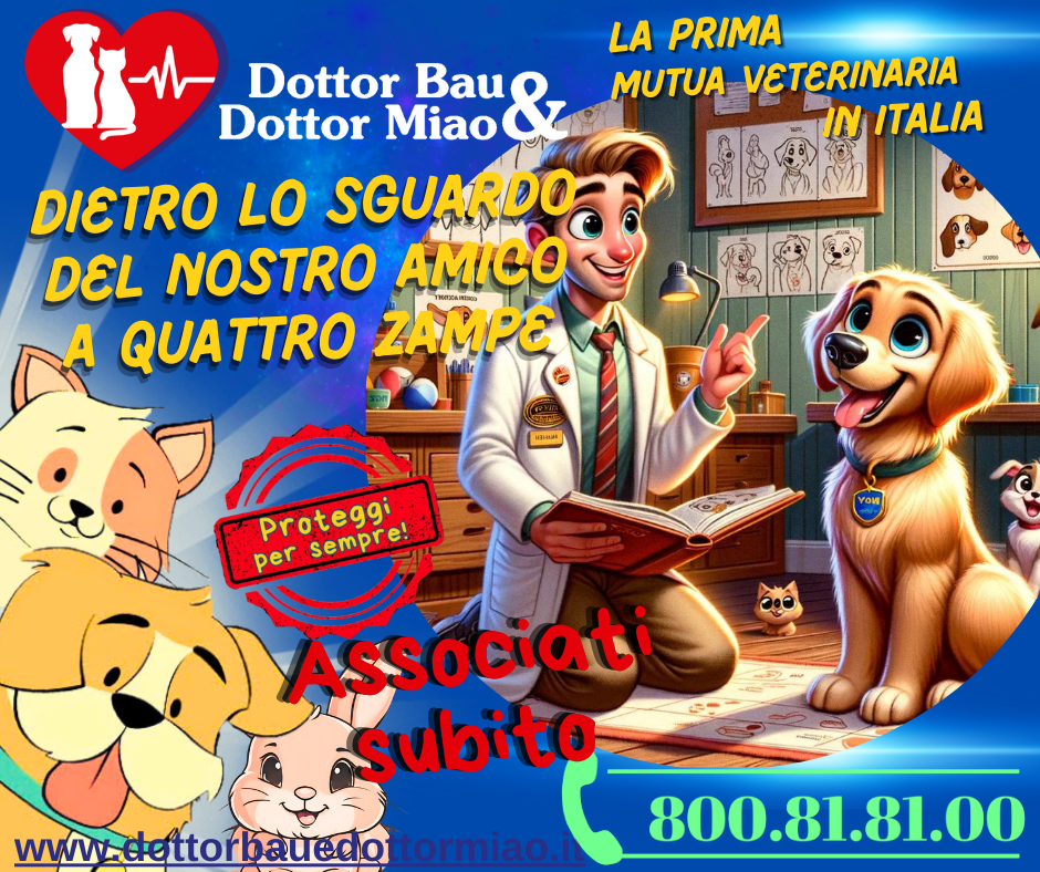 🐾 #Dogtalk: Dietro lo Sguardo del Nostro Amico a Quattro Zampe 🧐🐶