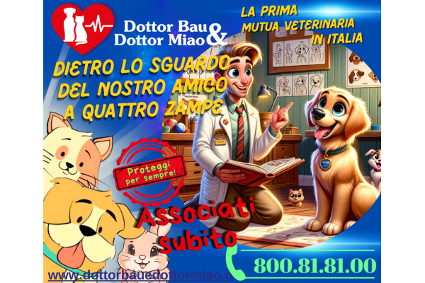 🐾 #Dogtalk: Dietro lo Sguardo del Nostro Amico a Quattro Zampe 🧐🐶