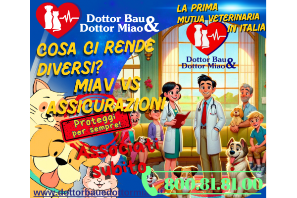 🐾🛡️ Cosa ci rende diversi? #MutuaMIAV vs Assicurazioni Tradizionali 🛡️🐾