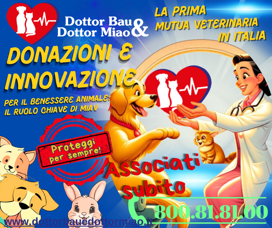 Donazioni e Innovazione - Il ruolo chiave di MIAV