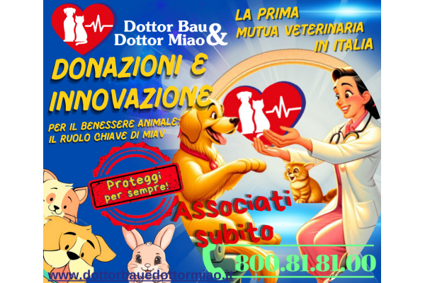 Donazioni e Innovazione - Il ruolo chiave di MIAV