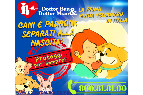 🐾 Cani e padroni: separati alla nascita? 🐶👫