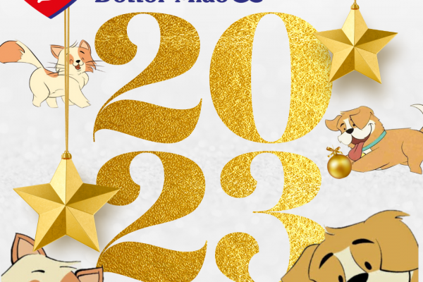 Buon 2023