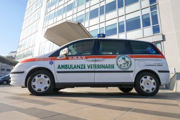 Amici a quattro zampe, accordo Enpa-Mutua italiana assistenza veterinaria