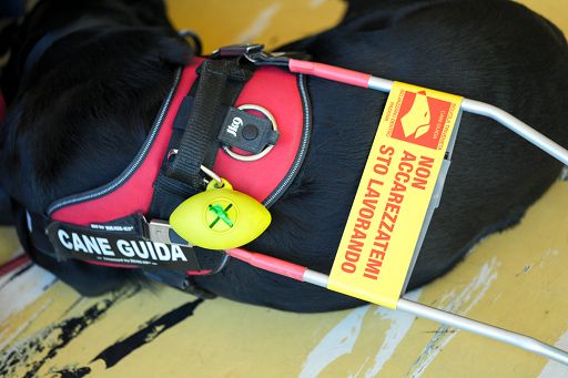 Siglato in Regione Lombardia accordo Enpa-Mutua assistenza veterinaria. Più tutela per le fasce deboli